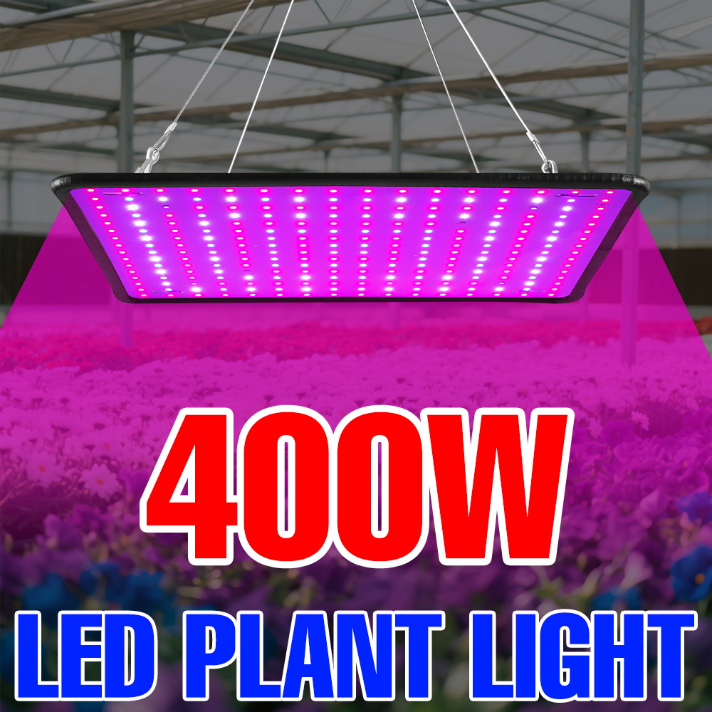 400W LED élèvent la lumière sp - Echeveria Succulent avis et prix