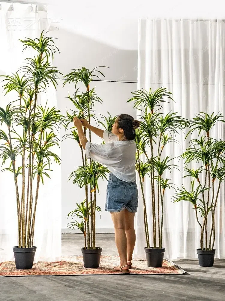 Plante artificielle Dracaena D - Dracaena Marginata avis et prix