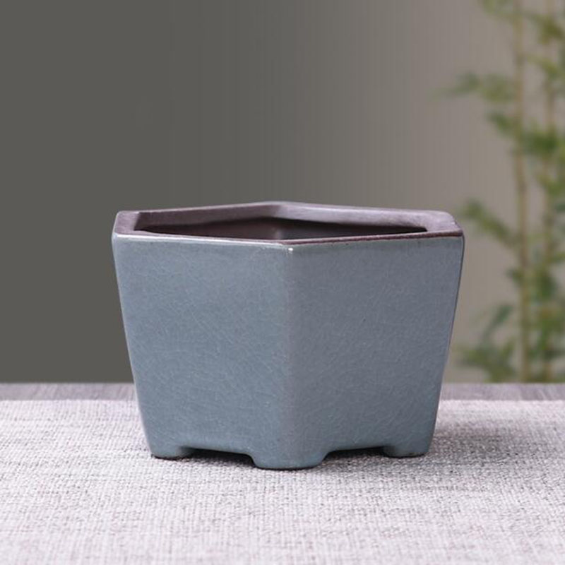 Pot de fleur en céramique rétr - Echeveria Succulent avis et prix