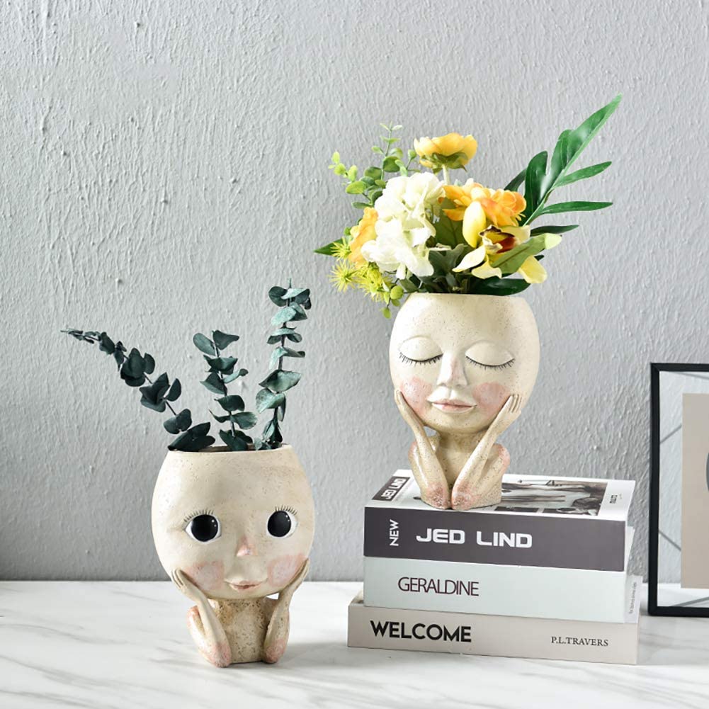 Jardinière de fleurs de tête d - Echeveria Succulent avis et prix